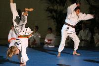 2015/150208_Budo-Gala_KCW/150208_03_judo_kc_wiesbaden_005.jpg