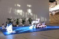 2015/150208_Budo-Gala_KCW/150208_03_judo_kc_wiesbaden_030.jpg