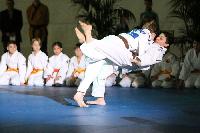2015/150208_Budo-Gala_KCW/150208_03_judo_kc_wiesbaden_039.jpg