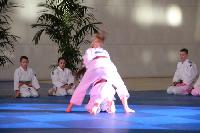 2015/150208_Budo-Gala_KCW/150208_03_judo_kc_wiesbaden_041.jpg