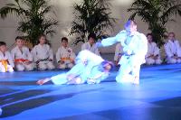 2015/150208_Budo-Gala_KCW/150208_03_judo_kc_wiesbaden_048.jpg