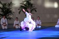 2015/150208_Budo-Gala_KCW/150208_03_judo_kc_wiesbaden_054.jpg