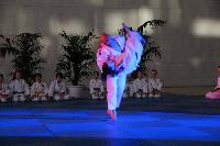 2015/150208_Budo-Gala_KCW/150208_03_judo_kc_wiesbaden_100.jpg